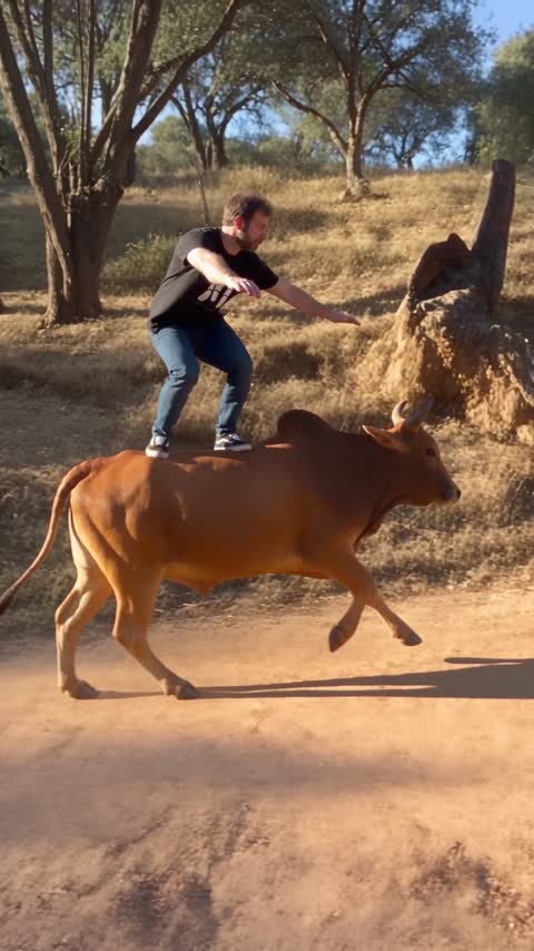 Where your Bull Backflip AI video fits