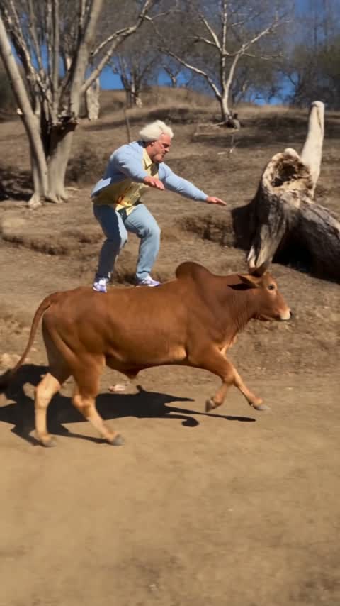 Give Bull Backflip AI your chosen appearance
