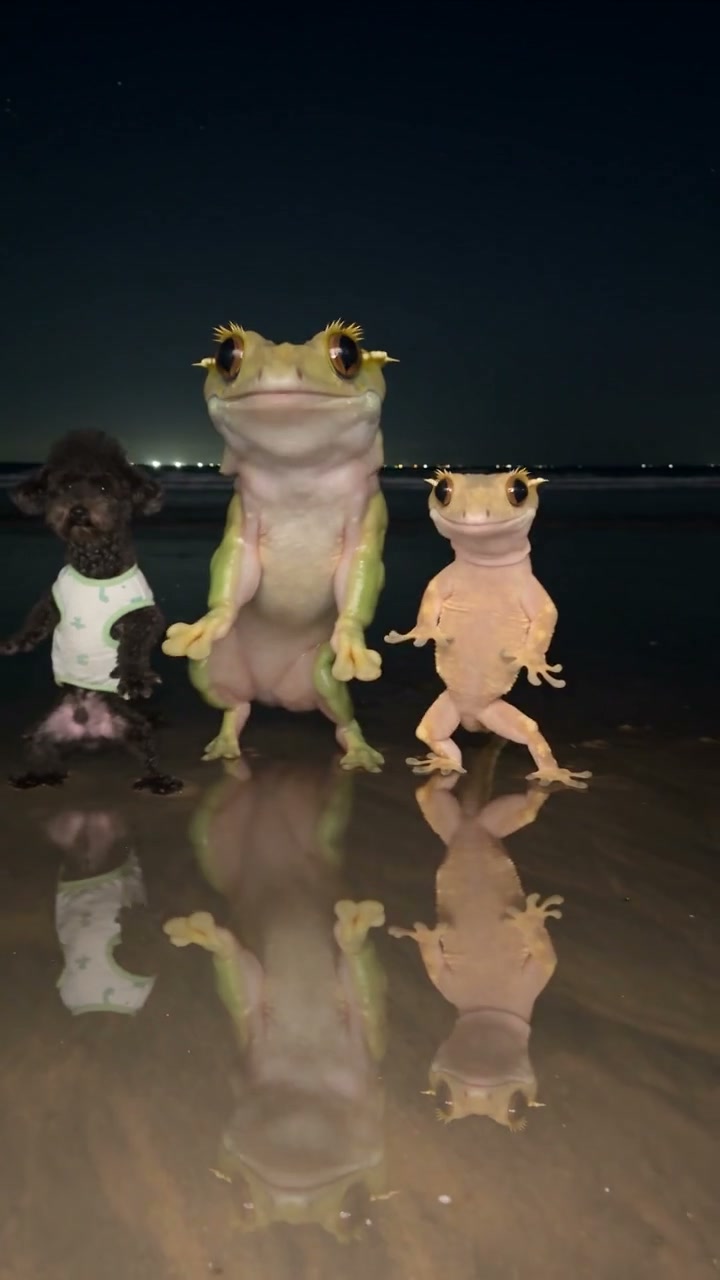 Create a trio people can tell apart