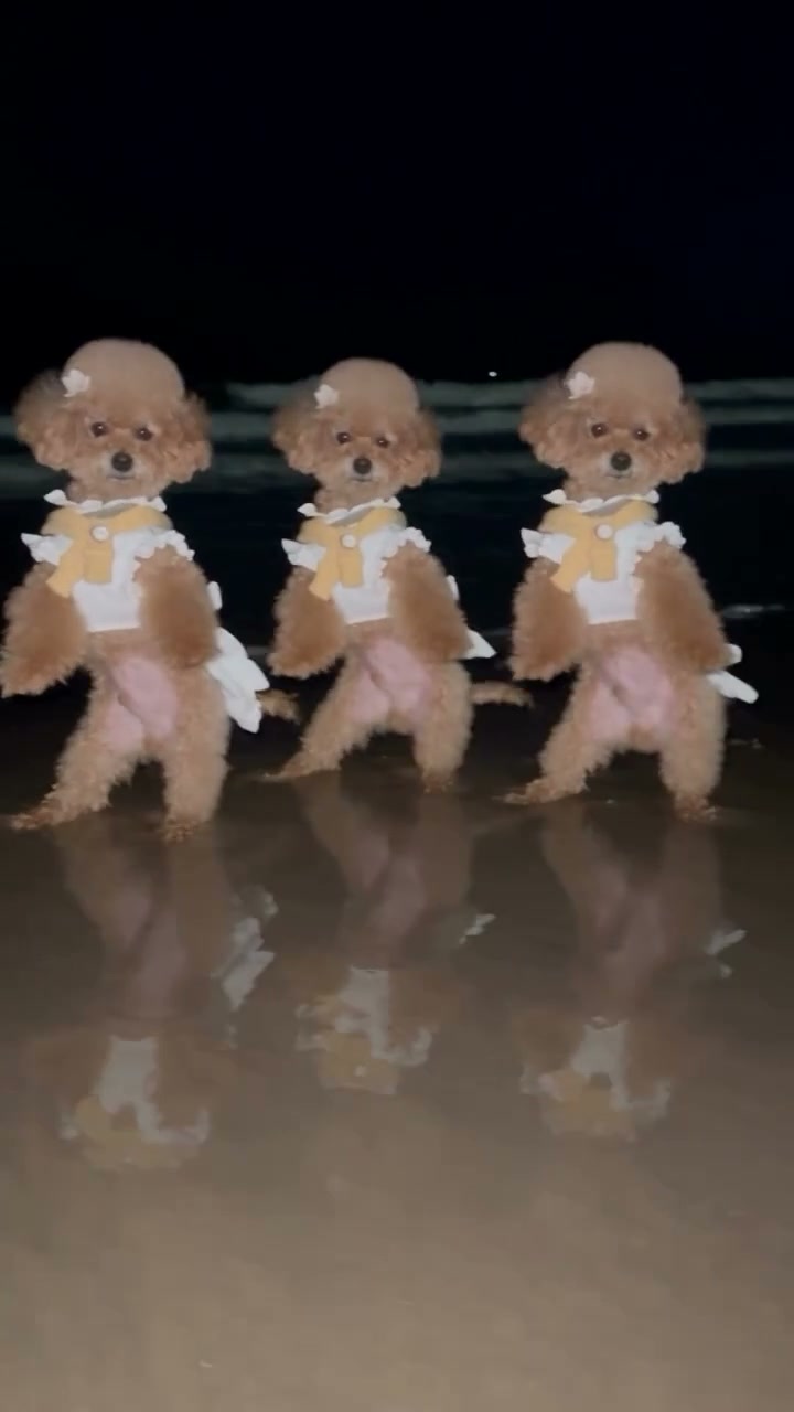 Day by Day Dance AI reference performance