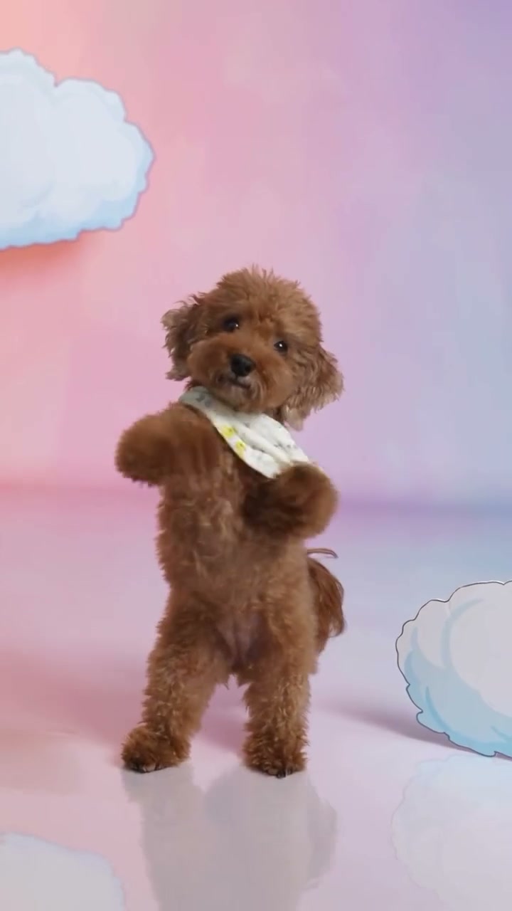 Otsukare Summer Dog AI reference performance
