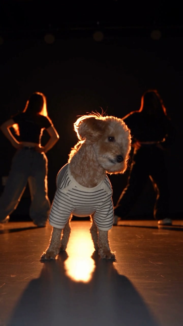 Community poodle dance · 24-second example